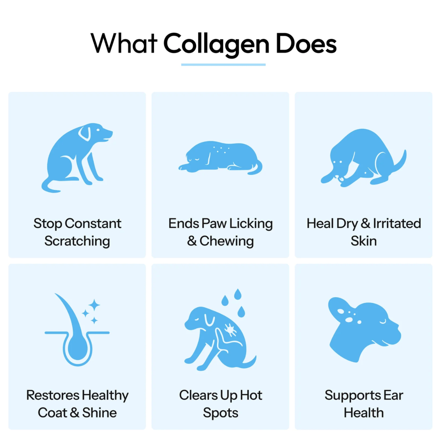 Nutriently Premium Liquid Collagen