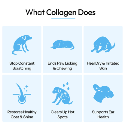 Nutriently Premium Liquid Collagen