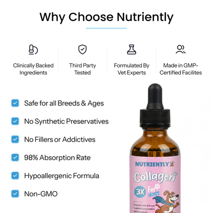 Nutriently Premium Liquid Collagen