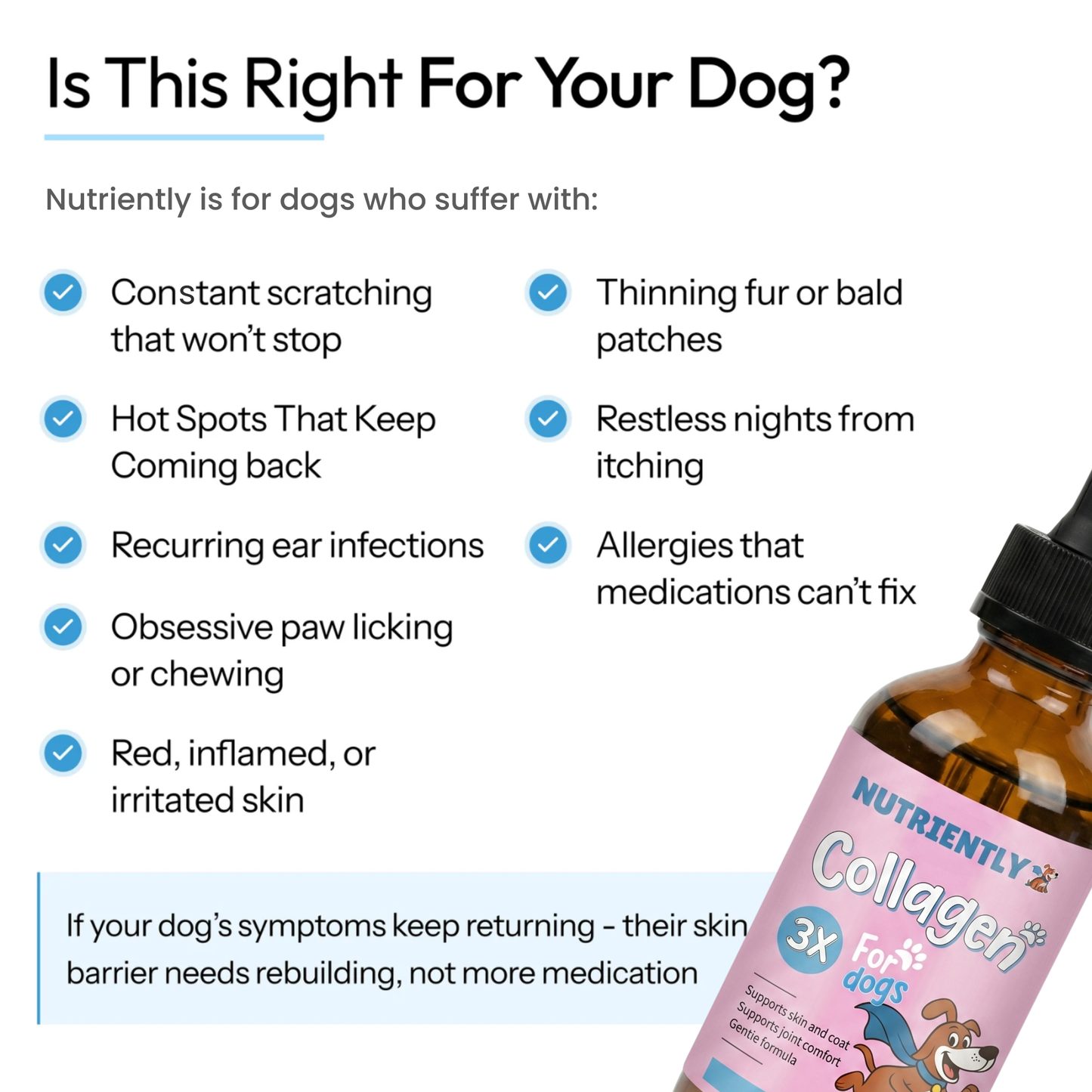 Nutriently Premium Liquid Collagen