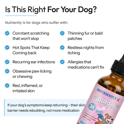 Nutriently Premium Liquid Collagen