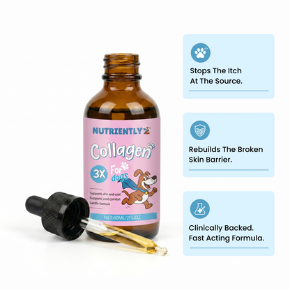 Nutriently Premium Liquid Collagen
